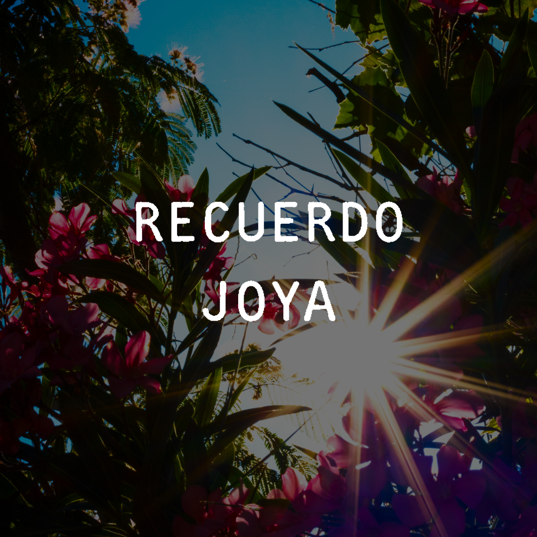 RECUERDO JOYA
