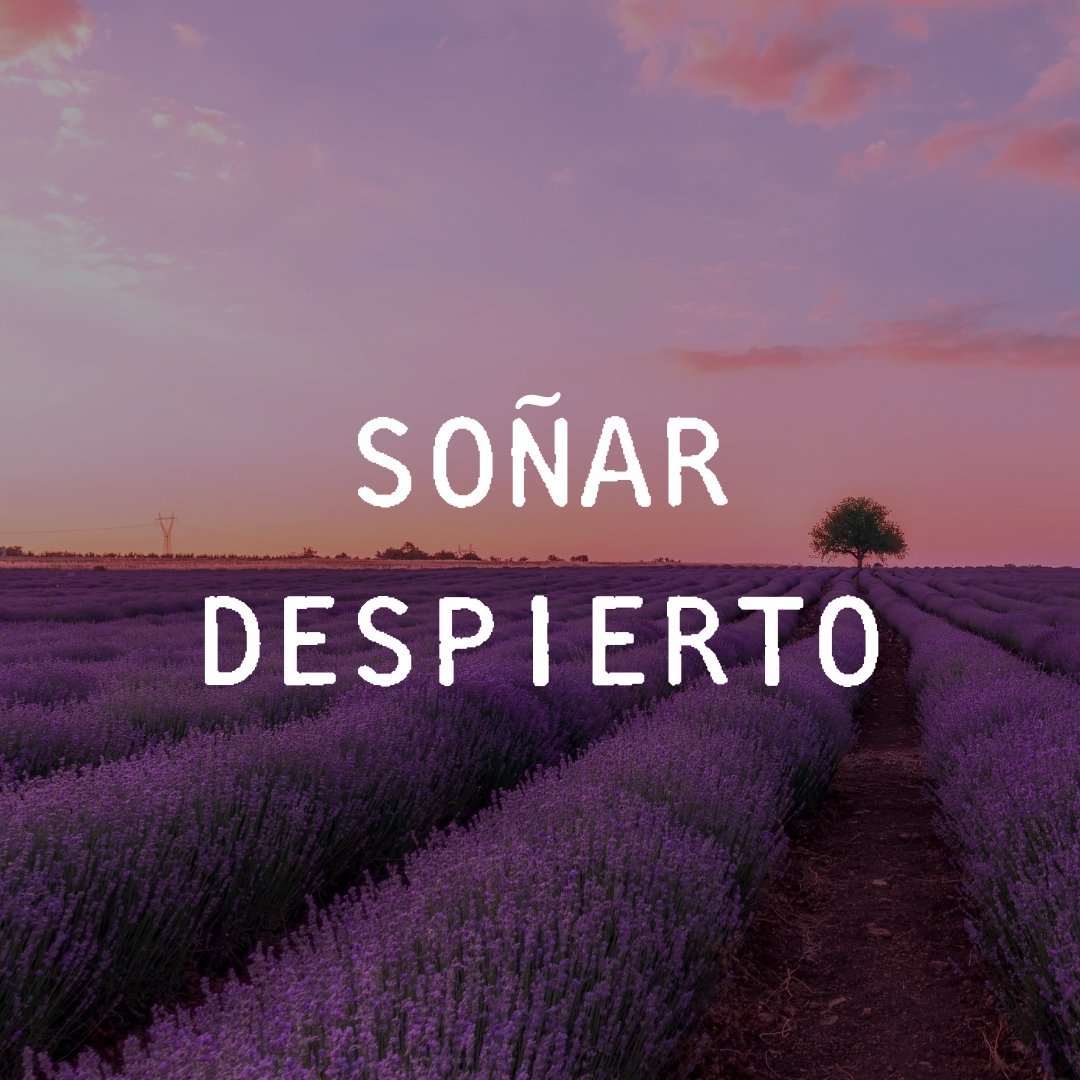 SOÑAR DESPIERTO