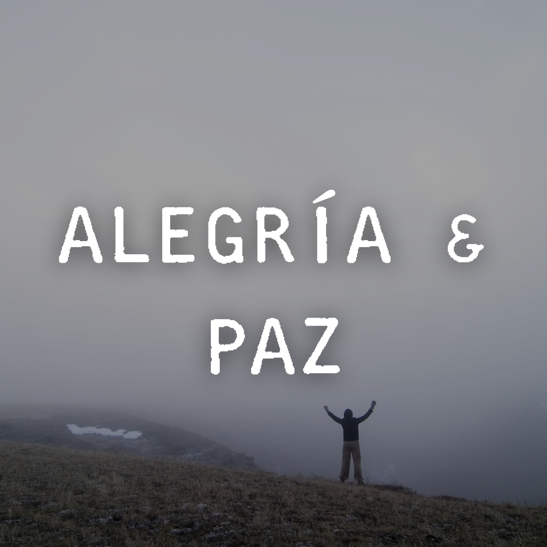 ALEGRÍA & PAZ