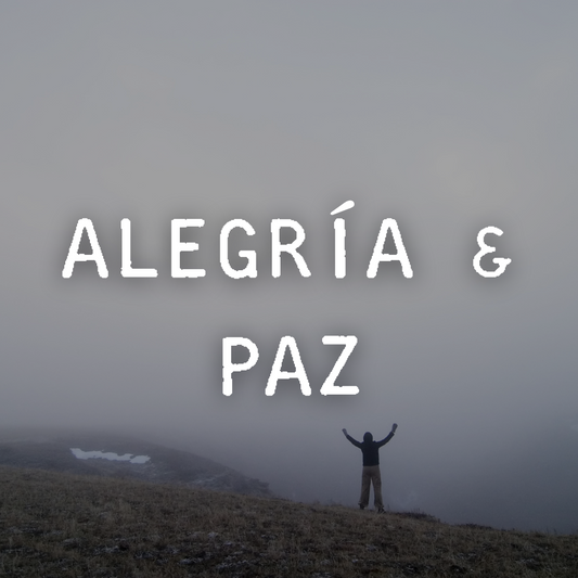 ALEGRÍA & PAZ